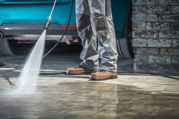 Best Driveway Pressure Washing  in Argo, AL